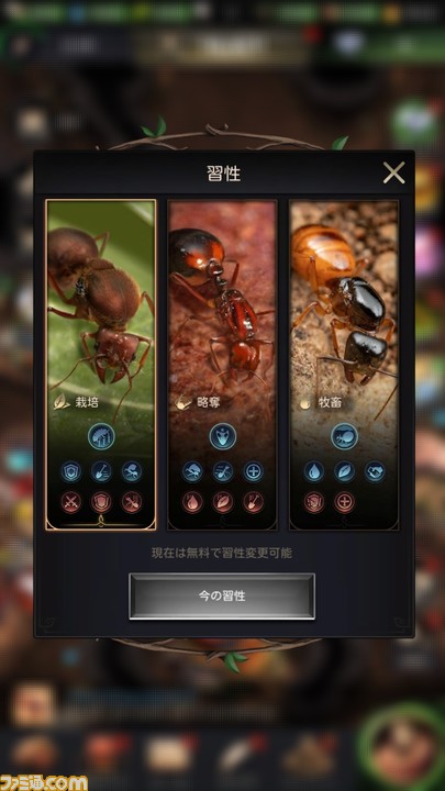 ザ　アンツ　評価